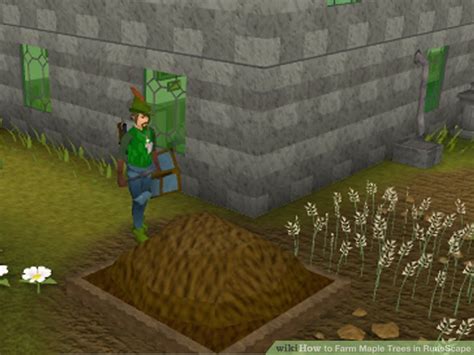 How To Farm Maple Trees In Runescape 8 Steps With Pictures