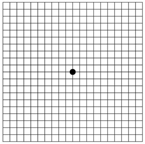 Amsler Grid - Going Blind