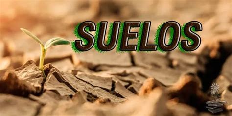 Los Suelos y la Degradación de Suelos definición tipos causas y más