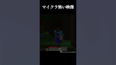 世界で発見されたマイクラの奇妙なモノ【ゆっくり解説】 Shorts Youtube