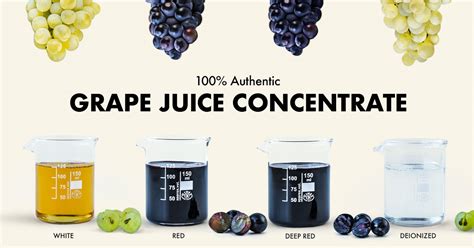 Grape juice concentrate, properties, and benefits - Julian Soler