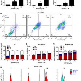 Smy Induces Apoptosis In Tnbc Cells Ad And Cycle Blockage Eh