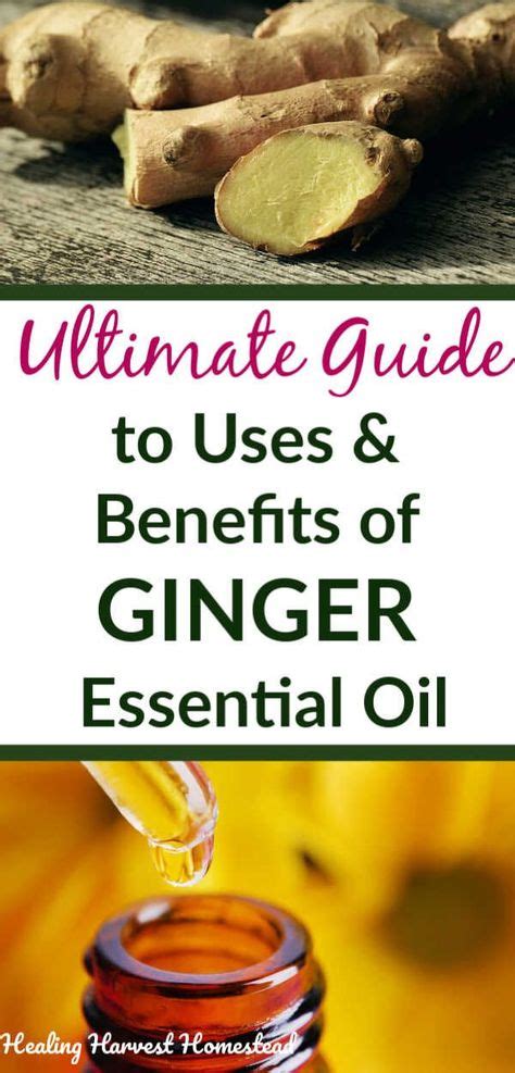 The Complete Guide To Using Ginger Essential Oil And WHY It Should Be