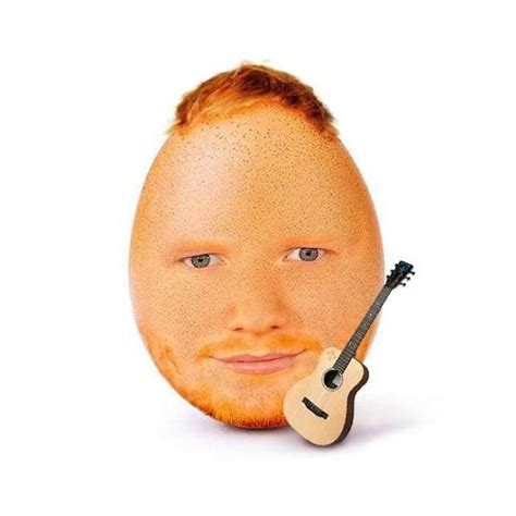 Egg Sheeran Lgbt Amino