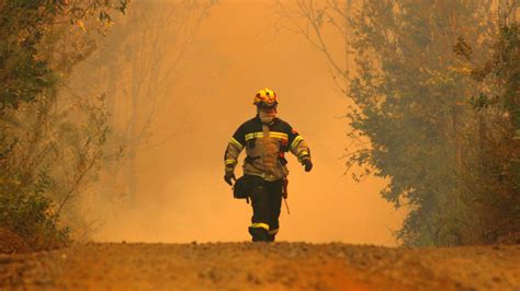 Onemi Reporta 49 Incendios Forestales En Territorio Nacional — Rockandpop