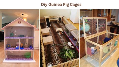 10 DIY Guinea Pig Cages: Building Ideas and Guide