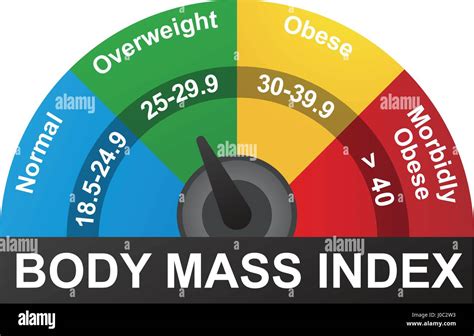 El Imc O Índice De Masa Corporal Infografía Gráfico Imagen Vector De