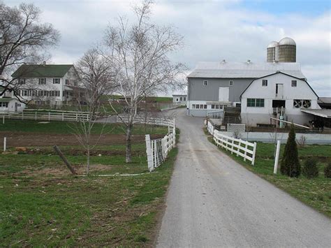 Beacon Hollow Farm Amish Guest House | Discover Lancaster