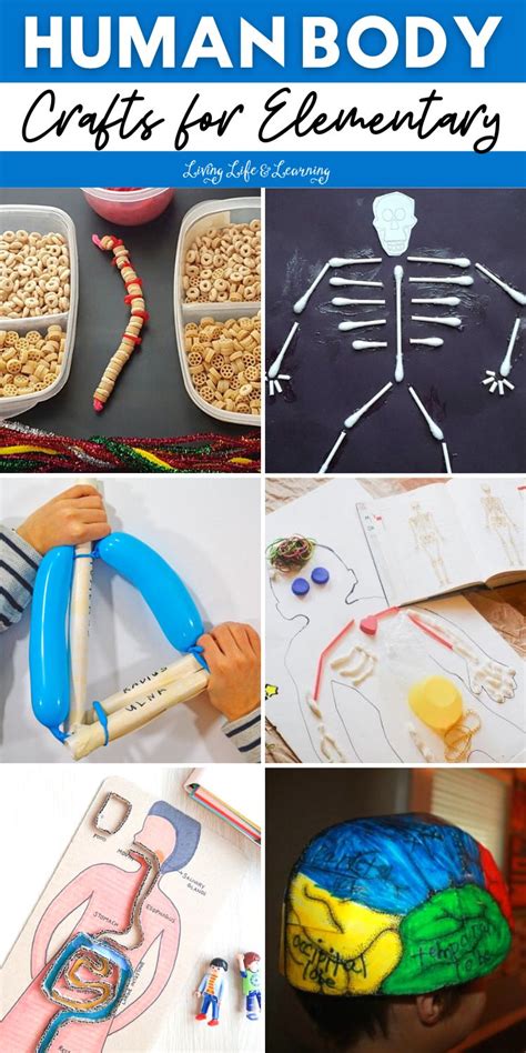 Human Body Crafts for Elementary