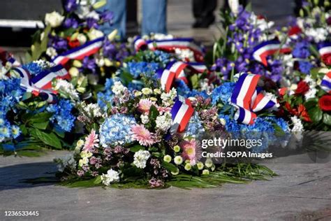 Armistice Signing Ceremony Photos and Premium High Res Pictures - Getty ...