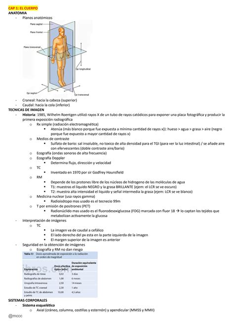 Solution Resumen Capitulo Anatomia De Gray Studypool