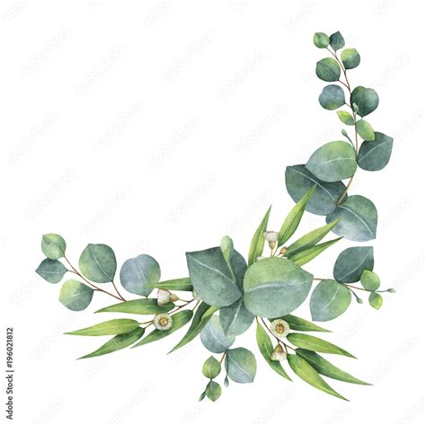 Watercolor Bouquet With Green Eucalyptus Leaves And Branches Stock