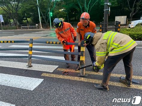 태풍주의보 부산 곳곳에서 강풍 피해 신고 잇따라 네이트 뉴스