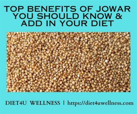 Jowar: Benefits, Nutrition, Recipes & Uses