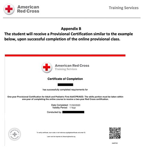 Online Red Cross CPR/AED/First Aid certification--done at home or work ...