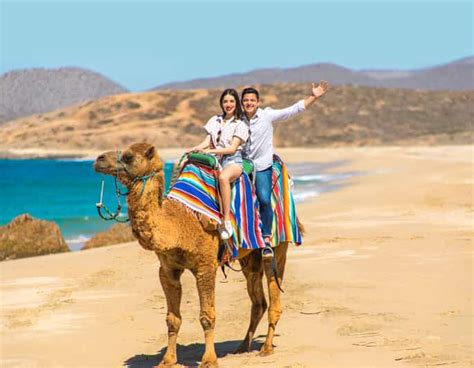 Los Cabos Desert Camel And Atv Ride With Transfer Tequila Getyourguide