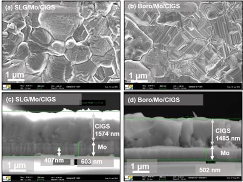 Sem Surface And Cross Sectional Images Of Se Rich Cigs Absorbers Formed