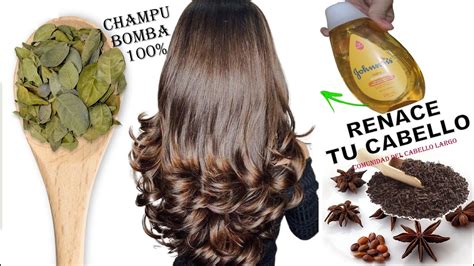 En semanas logré QUE RENAZCA mi cabello con esta receta CHAMPÚ BOMBA