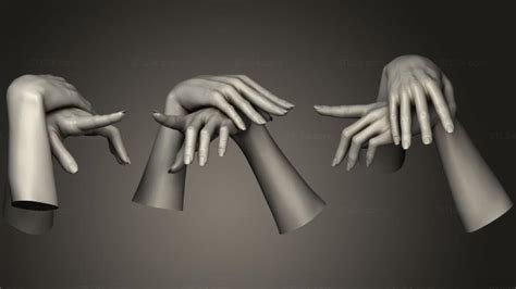 Anatomy Of Skeletons And Skulls Female Hands 5 Antm0476 3d Stl