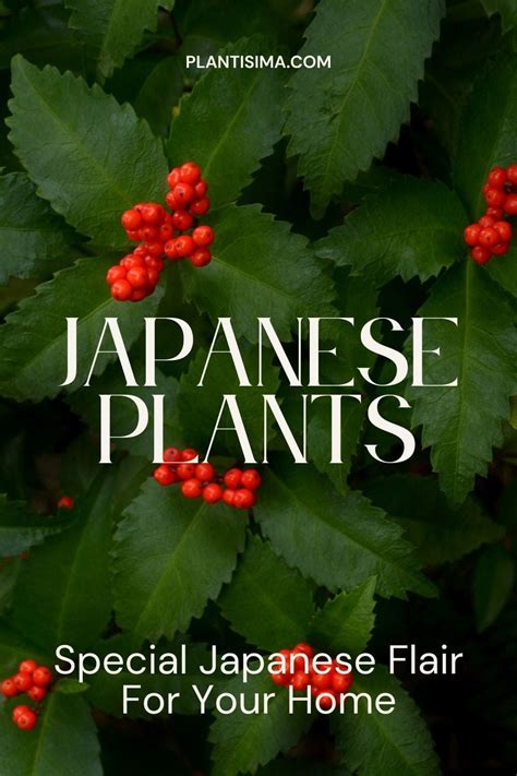 Japanese Plants for a Serene Home Garden