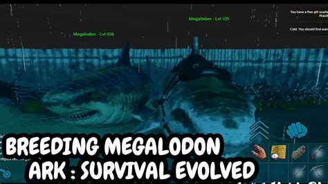 How To Breeding Megalodon ARK SURVIVAL EVOLVED MOBILE YouTube