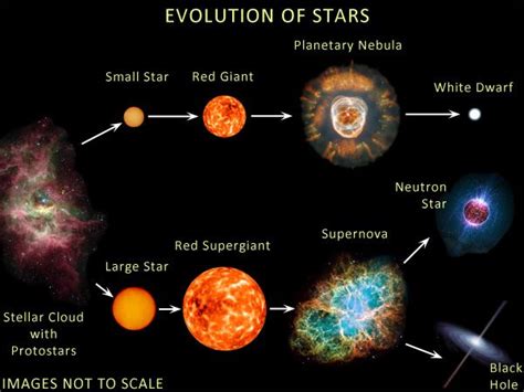 Stellar Evolution Or Lifecycle Of Stars Neutron Star Astronomy