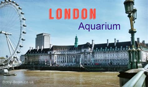 Baby Friendly London – The London Aquarium | Baby Brain