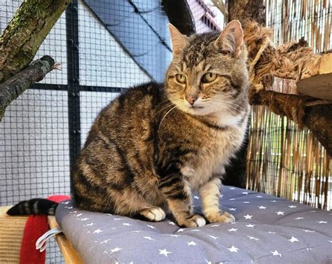 Mäxchen gehört noch lange nicht zum alten Eisen Tier Natur und