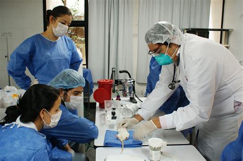 Laboratorios Escuela De Ciencias Básicas Facultad De Salud