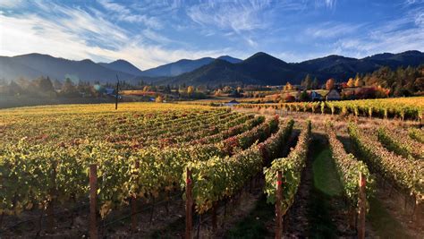 A Guide to Southern Oregon Wine | SevenFifty Daily