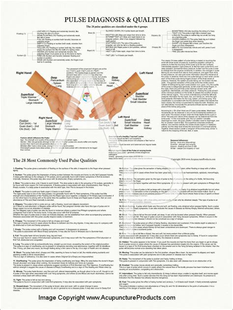 Pulse Diagnosis Acupuncture Poster 18 X 24