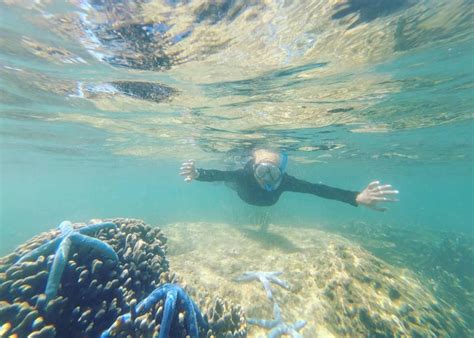 3 Rekomendasi Spot Snorkeling Terbaik Di Makassar FAJAR