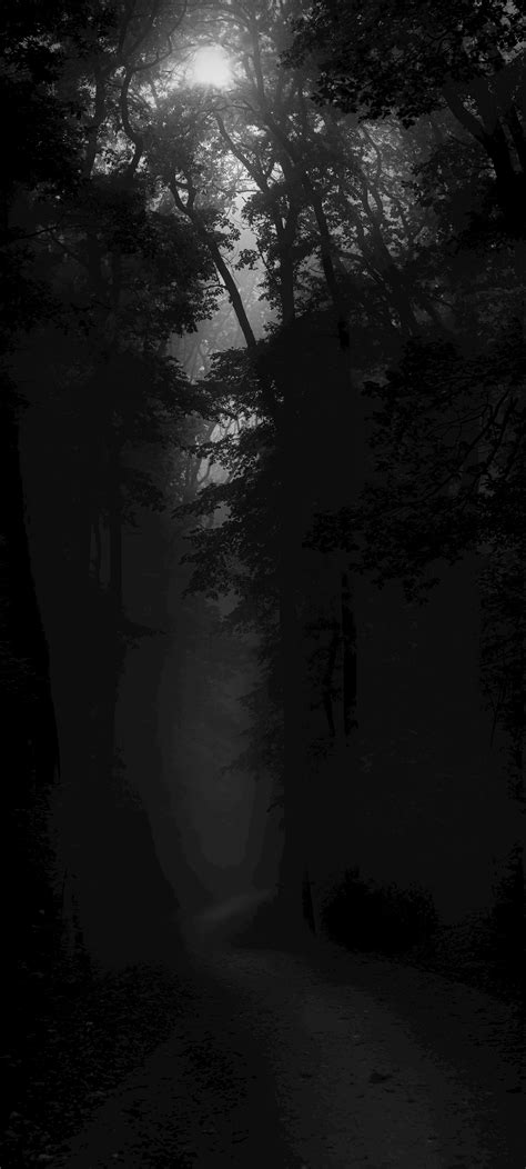 Aggregate 85+ dark forest aesthetic wallpaper - in.coedo.com.vn