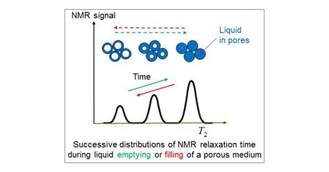 Dynamic Nmr Relaxometry As A Simple Tool For Measuring Liquid Transfers