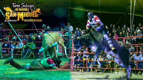 LOS TOROS SALVAJES DE RANCHO SAN MIGUEL DE JORGE PINEDA EN SANTIAGO