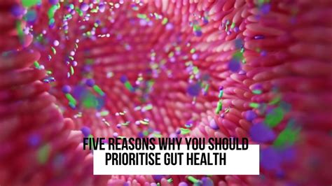 Five Reasons Why You Should Prioritise Gut Health Video Dailymotion