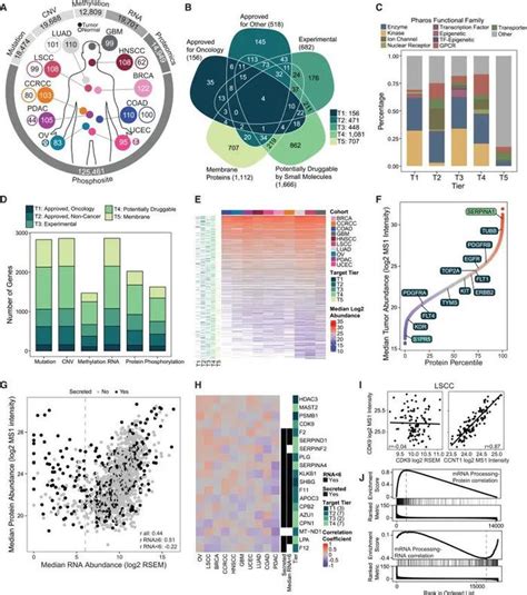 Cell 突破癌症治疗瓶颈：跨癌种蛋白基因组学揭示新靶点基因肿瘤新浪新闻