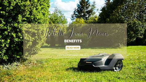 Robotic Lawn Mower Benefits - BackyardPatioLife