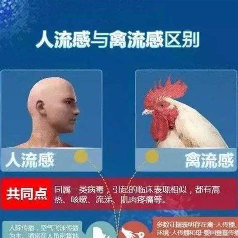 惠州报告1例h5n6病例！ 水口仔