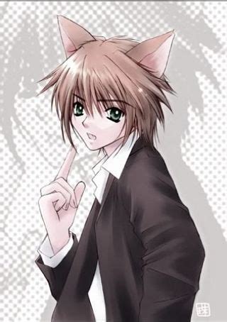 Animal Ears/Tail | Wiki | Anime Amino