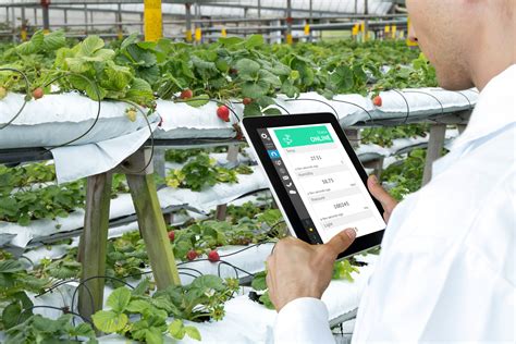 Agri Tech The Internet Of Things And Getting Ahead Of The Curve