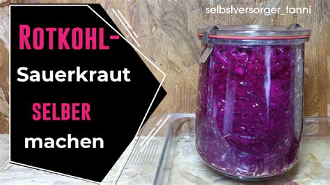 Sauerkraut Rotkohl OHNE KÜHLUNG viele Jahre haltbar machen Wie du