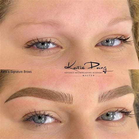 Hybrid Brows All You Need To Know