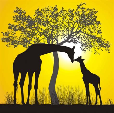 Illustration Of Giraffe Silhouettes And Acacia Tree With Grass I Stock