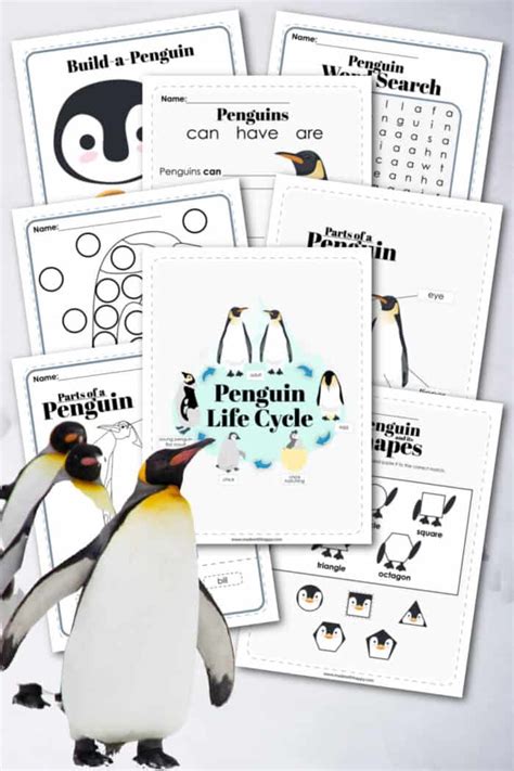 Penguin Life Cycle - Printable Penguin Activities - Made with HAPPY