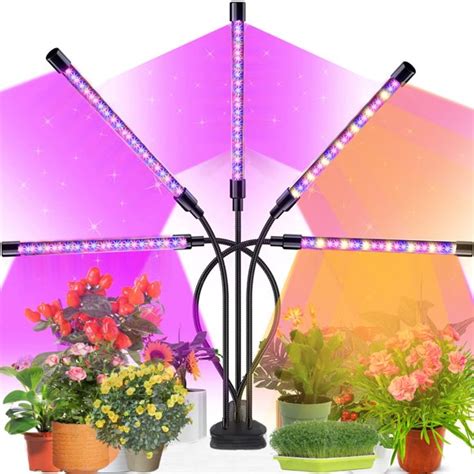 Indoor Grow Lights