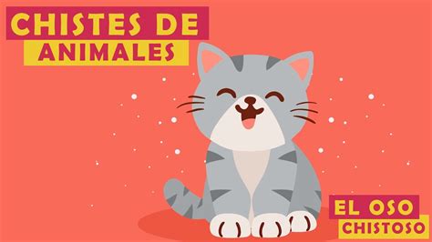 Chistes De Animales Graciosos Y Buenos 🐵🐶🦁 Compilación De Chistes