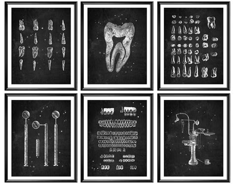 6 Dental Anatomy Posters Dentist Office Gift Dentistry Art Medical ...