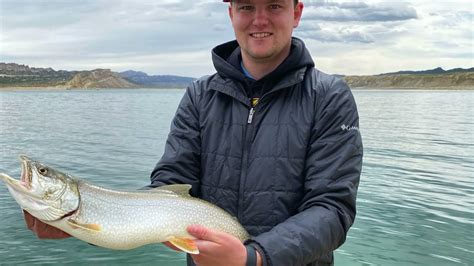 Epic Lake Trout From The Shore Of Flaming Gorge Catch Camp Cook