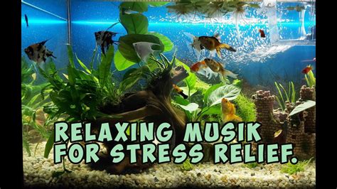 Relaxing Musik For Stress Relief YouTube